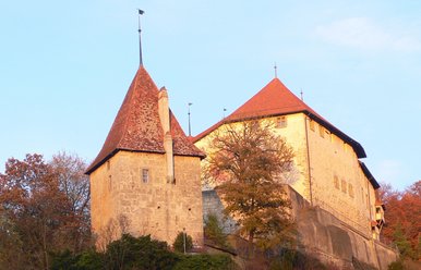 Schloss Laupen, Laupen 