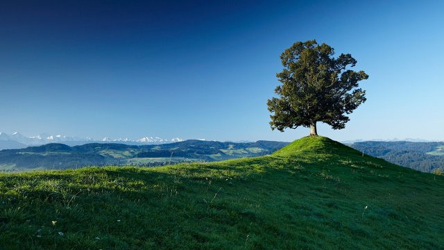 Emmental, Region Bern