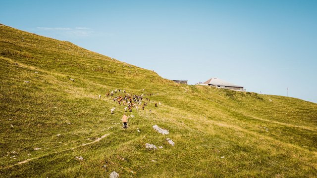Naturpark Gantrisch