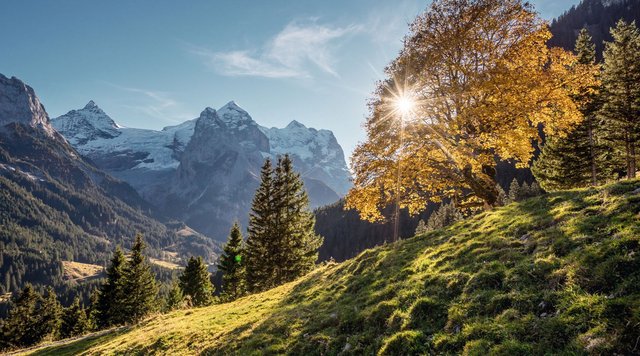 Rosenlaui, Haslital, Jungfrau Region